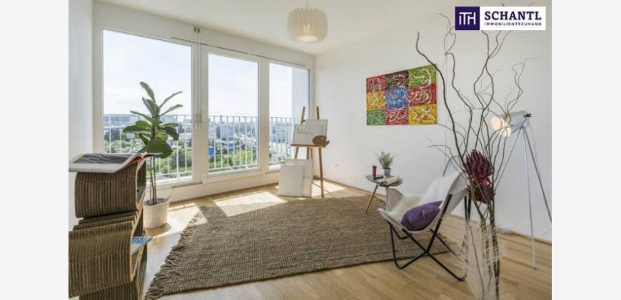 Wohnung Suchen In Wien Ohne Provision