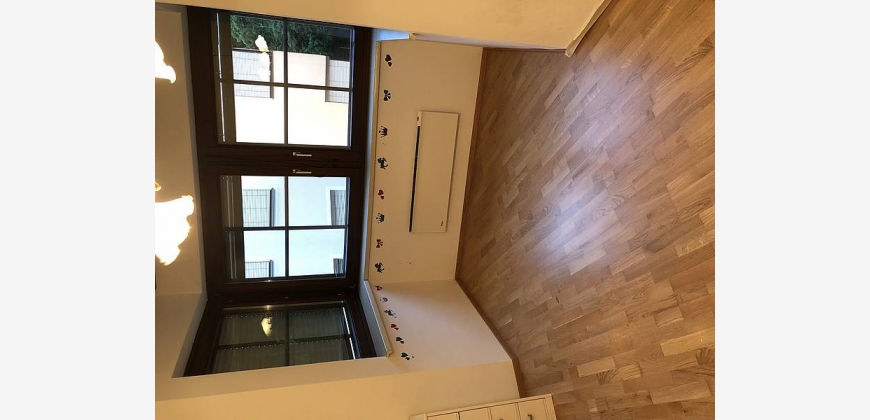 Single wohnung hollabrunn