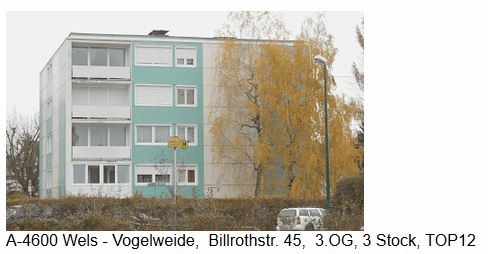 Single wohnung wels land