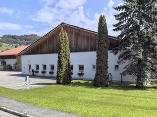 Logistik- und Industrieimmobilie zu vermieten