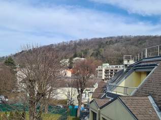 Renovierte Maisonette in Neuwaldegg mit Balkon Terrasse Garage Kellerabteil