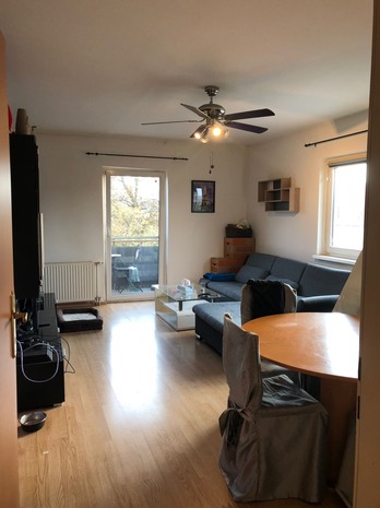 Single wohnung traiskirchen