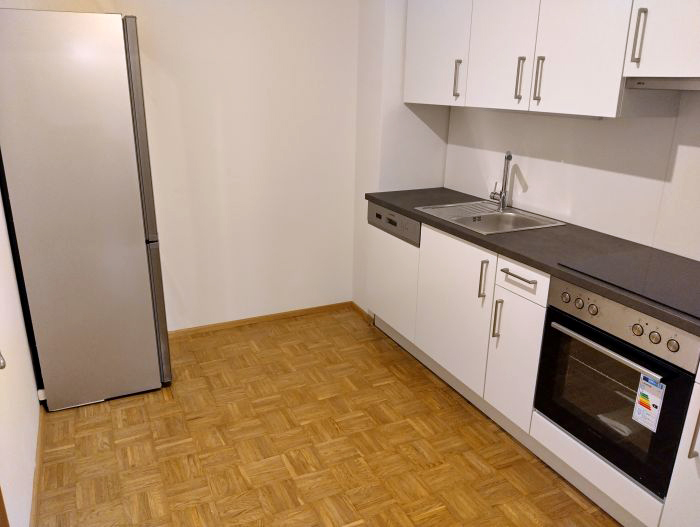 JAKOMINI: Sanierter 3 ZIMMER-NEUBAU + extra Küche neu möbliert + Bad mit Wanne + extra WC + Lift + nähe Campus Neue TU-Graz!