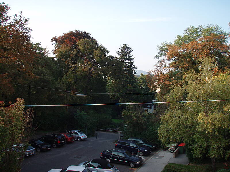 Ruhige, schön gelegene Wohnung in BOKU und alter WU-Nähe mit 80qm und Balkon zu vermieten