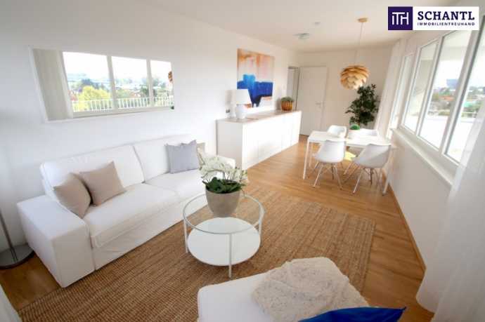 Wohnung Suchen In Wien Ohne Provision