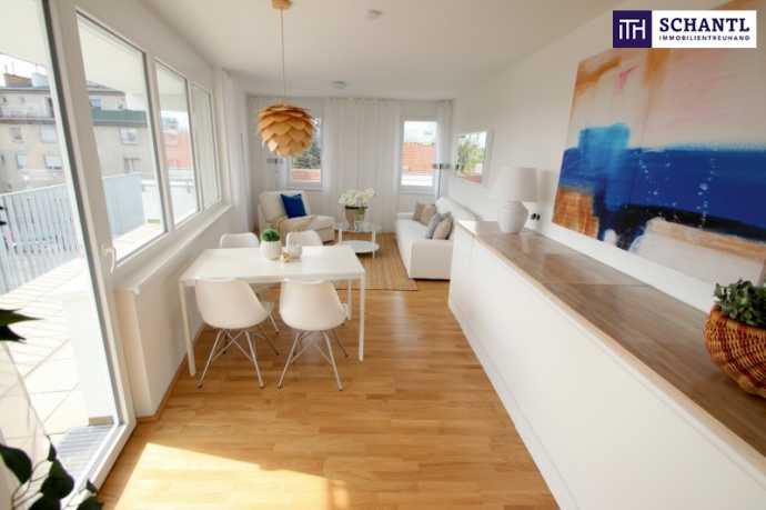 Wohnung In Wien Mieten Ohne Provision