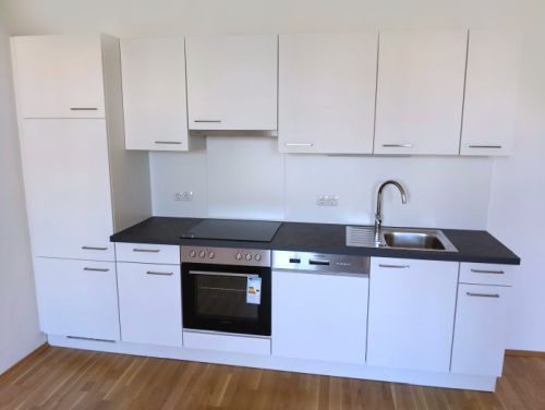 Erstbezug: Sanierte 3 ZIMMER-Wohnung + neue Einbauküche + neue Sanitäranlagen (Bad + WC) + WG-tauglich!