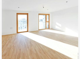 Premium Property Image