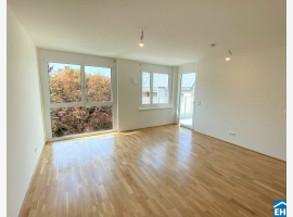 Premium Property Image