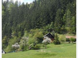 Premium Property Image