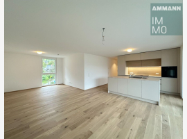 Premium Property Image