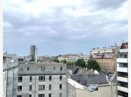 loader_gif