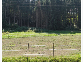 loader_gif