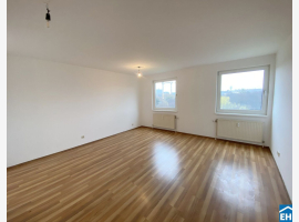 Premium Property Image