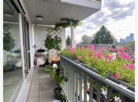 Premium Property Image