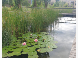 Premium Property Image