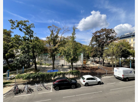 loader_gif