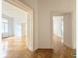 loader_gif