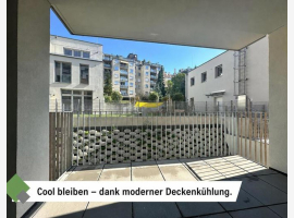 loader_gif