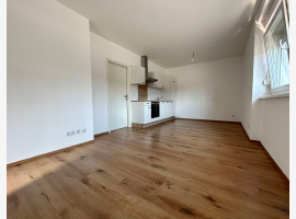 Premium Property Image