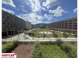 Premium Property Image