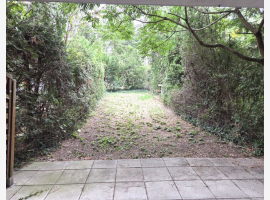 loader_gif