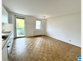 loader_gif