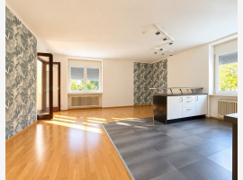 Premium Property Image