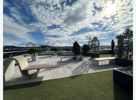 loader_gif