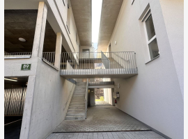 loader_gif