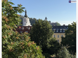 Premium Property Image