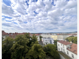 loader_gif