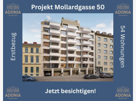 Premium Property Image