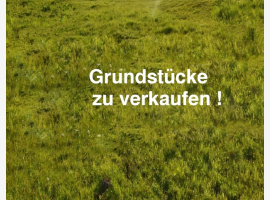loader_gif