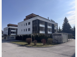 Premium Property Image