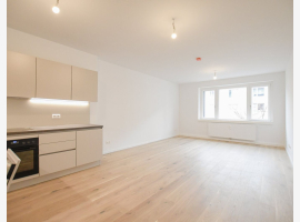 Premium Property Image