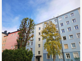 Premium Property Image