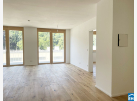 Premium Property Image