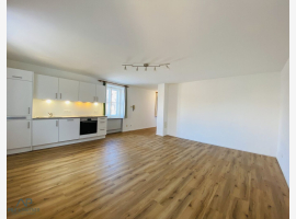 Premium Property Image
