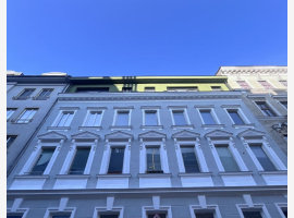 loader_gif