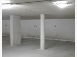 loader_gif