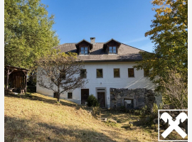 loader_gif