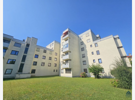 Premium Property Image