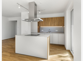 Premium Property Image