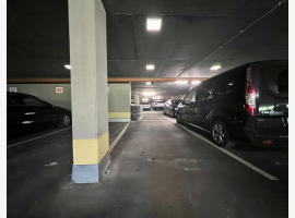 loader_gif