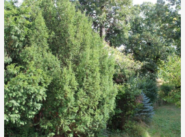Premium Property Image