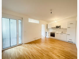 Premium Property Image