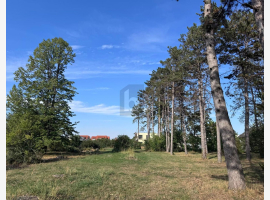 loader_gif