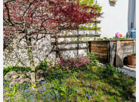 Premium Property Image