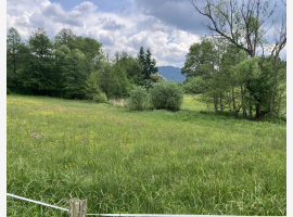 Premium Property Image